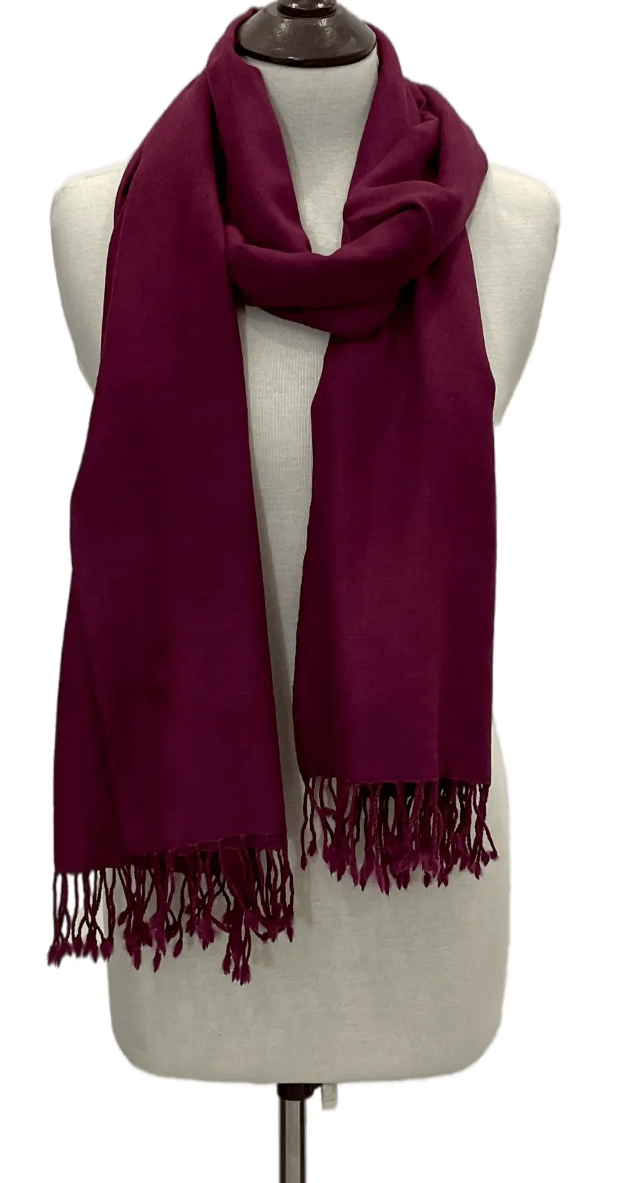 Pashmina Shawl