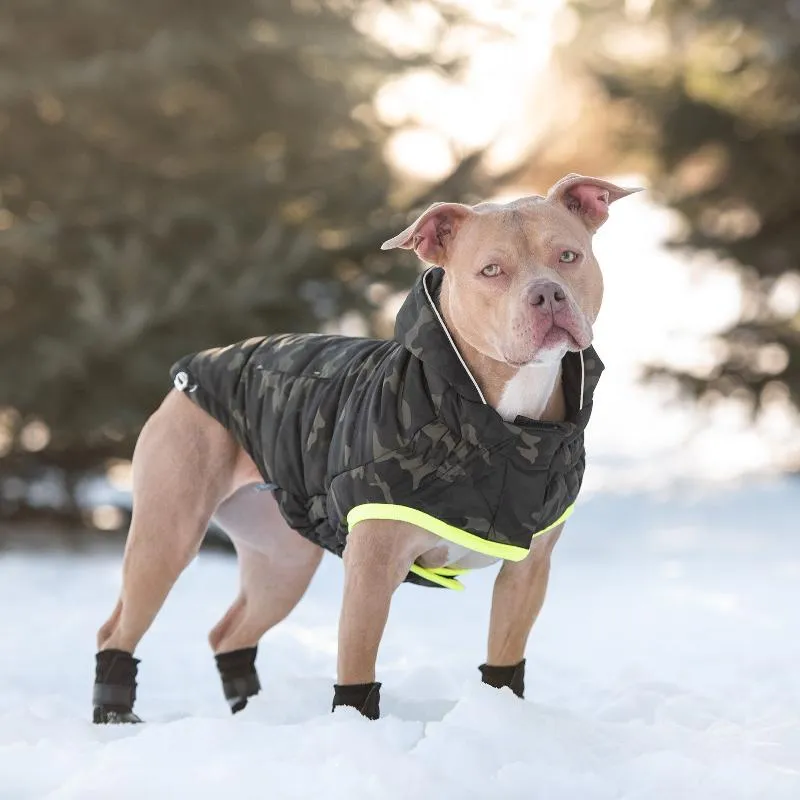 Recycled Dog Parka - Camouflage